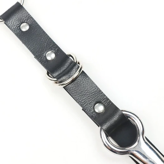 with Leash Hook and Anal EverydayUse 5853 Collar Kinky 0627